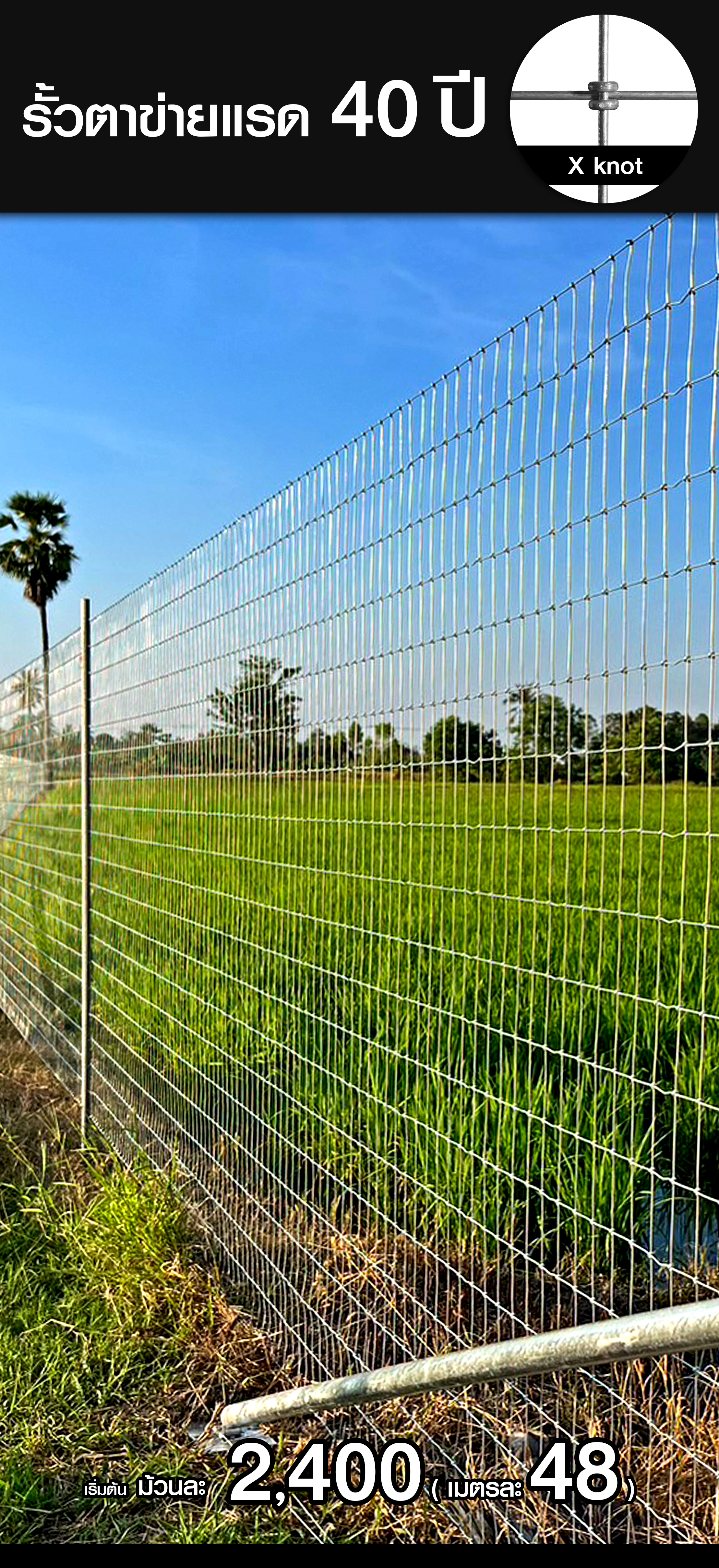 ระบบบรั้วสปริง 40 ปี Xknot